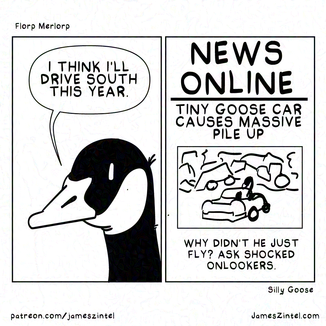Silly Goose Cartoon 