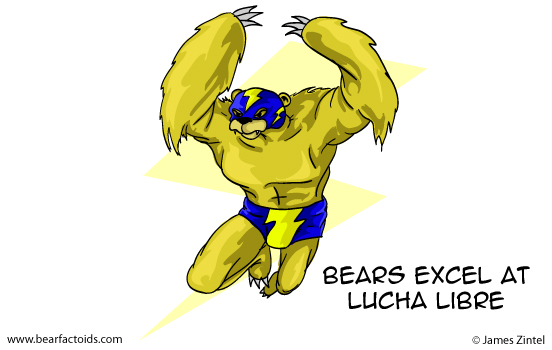 lucha libre
