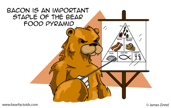 food pyramid